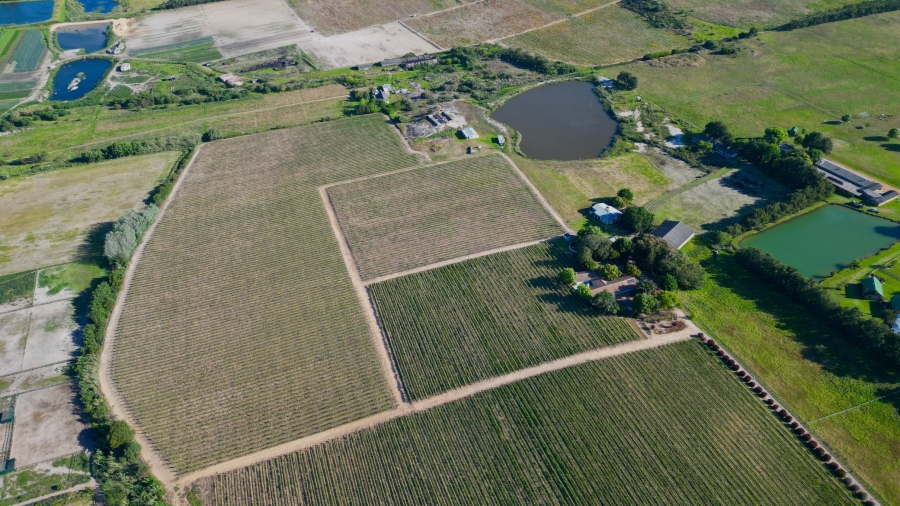 Commercial Property for Sale in Stellenbosch Farms Western Cape